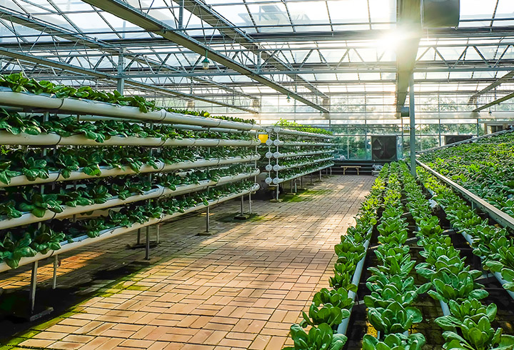 園藝技術專業教學資源庫